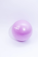 Fitball LiveUp Mini Ball LS3225/20/VT art. 41399