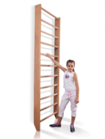 Spalier Gimnastic SG-100