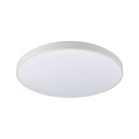 8187 Светильник Agnes Round Led White 32W 4000K IP44