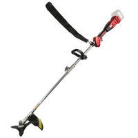 Trimmere pentru iarba Raider RDP-GXBC20