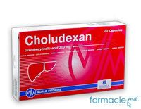 Choludexan caps. 300mg N10x2 (hepatoprotector)