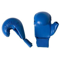 Одежда для спорта Arena Перчатки для каратэ синие S (87071)