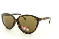 Polarized - JK 429P