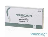 Neuroxon sol. inj.250 mg/ml 2 ml N10