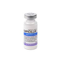 Ampicillin 1g pulb.sol.inj. N1