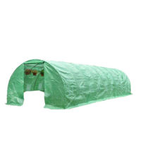 Навес Micul Fermier Sera 10x3x2 m 140g/mp UV4 (GF-2047)