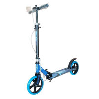 Trotinetă Richi 76990 Trotineta albastra pentru copii (6699A)