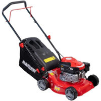 Mașini de tuns iarba Raider RD-GLM14 3in1