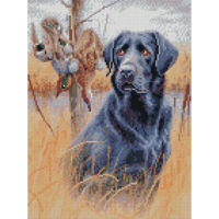 Tablou pe numere Strateg HX276 Алмазная мозайка Лабрадор на поле 30x40