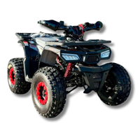 Бензиновый квадроцикл TAO MOTOR Hunter 150 II