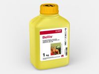 Беллис - фунгицид для борьбы с мучнистой росой яблони - BASF