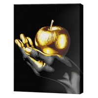 Картина по номерам BrushMe BSB0011 Pictura pe numere 40x50cm Black Eco Fructul auriu