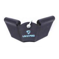 Спортивное оборудование LivePro 49898 Manere flotari Adduction Handle, LP8322/BK