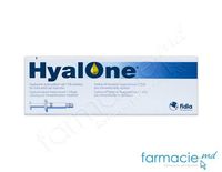 Hyalone 60mg/4ml inj. Pre-filled ser. N1 (TVA 20%)