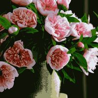 PN2020 Картина по номерам Artissimo "Пионы розовые", 4 *, 20 цветов, 40x50 см.