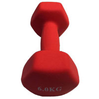 Гантель miscellaneous 4558 Gantera 6 kg mat