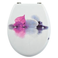 Capac WC MSV 40568 Borneo