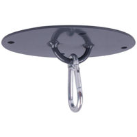 Товар для бокса inSPORTline 2332 Sistem Prindere Sac De Box Pentru Tavan 16689