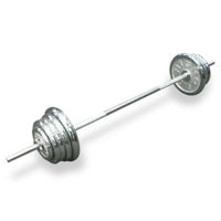 Ganteră Arena штанга гриф d 26mm L 180cm блины d-28mm 127kg металл