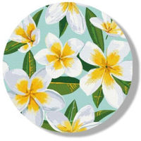 Tablou pe numere BrushMe RC00046FC (fără cutie) Plumeria