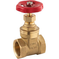 Supapă de închidere Ferro Robinet sertar 1 1/2" Z05//ZGV05