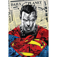 Головоломка Trefl 10884 Premium Plus - „Superman” (1000 pcs)