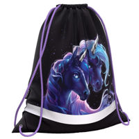 Rucsac pentru copii Erich Krause 62830 Sac pentru incaltaminte Black Unicorn