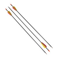 Набор стрел Yate Set of Arrows, 3 pcs, SL00002