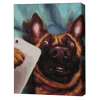 Tablou pe numere BrushMe DBS1209FC 40x50 сm (fără cutie) – Selfie Charlie, Lucia Heffernan