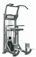 IT9320 CHIN/DIP COMBO W/200LBS