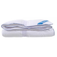 Комплект подушек и одеял Promstore 54939 155x215cm Othello Clima Aria, microfibra, 833g