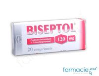 Biseptol comp. 120mg N20