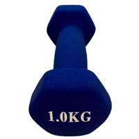 Гантель miscellaneous 4555 Gantera 1 kg mat