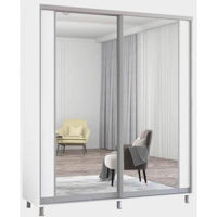 Шкаф Mobildor-Lux Раздвижные двери из ДСП Aron-P с вертикальным зеркалом (190x60x220 см), цвет: бриллиантовый белый