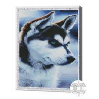 Tablou pe numere Art Gallery QB204798 Mozaic cu diamante patrate 40x50cm Catelus husky