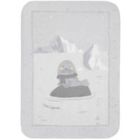 Комплект подушек и одеял Kikka Boo 31103020154 Paturica super moale Seally Me, 110/140 cm