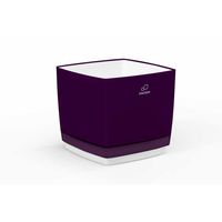 cumpără 2431Boxă din 2 straturi pentru flori120F2 în Chișinău