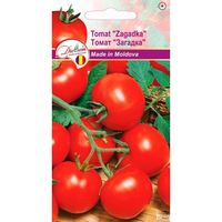 купить {'ro': 'Seminte de Tomate Zagadka 0,2 g (1209 91 800)  DS', 'ru': 'Семена Томат Загадка 0,2 г  DS'} в Кишинёве