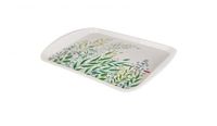 Platou plastic (43.5*30.5 cm)