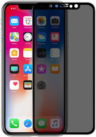 Защитное стекло Nillkin Apple iPhone XS/X 3D AP + Max Privacy