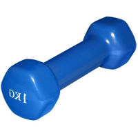 Гантель Arena А801 1 кг синие