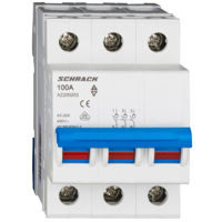 Автомат дифференциальный Schrack Technik AZ200203 Разделитель нагрузки 100 А, 3-полюсный