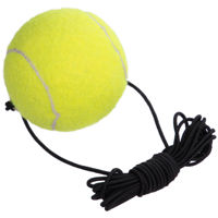 Мяч miscellaneous 88403 тренировочный Zhibo