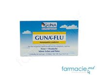 Guna®-Flu gran. homeopate 1 g N6