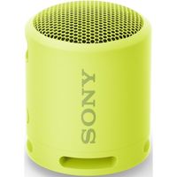 Колонка портативная Bluetooth Sony SRSXB13Y