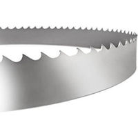 Аксессуар для пилы Stürmer Maschinen Banda p/u ferăstrău HSS Bi-Metal M 42, 1440 x 13 x 0,65 mm