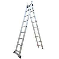 Лестница Technoworker 2x13 (DLE213)