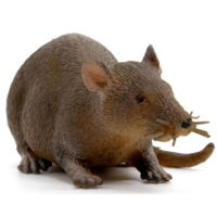 Игрушка ICOM 7174644 Животное антистресс