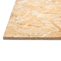 OSB-3 2500x1250x22mm