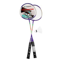 Palete badminton (2 buc.) + husa + fluturas 5139 (6957)